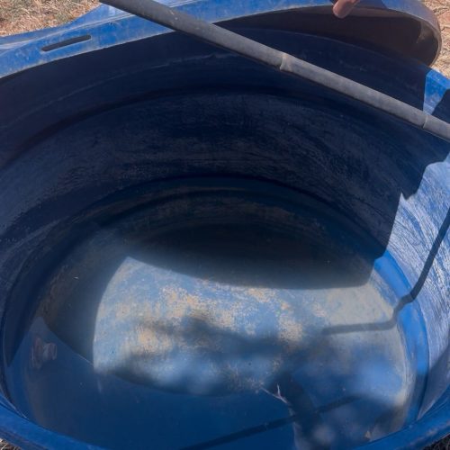 Morro do Albano denuncia abandono: falta de água, saúde e condições básicas afeta moradores